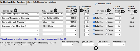 Screenshot of the Related/Other Services section of the DCPOD screen
