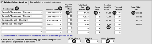 A screenshot of the Child-Specific 1:1 Aide/Shared Aide/Nurse/Interpreter section of the DCPUB screen.